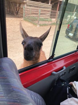 東北サファリパークに投稿された画像（2023/5/4）