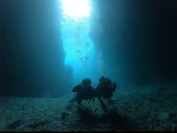 武藤潜水に投稿された画像（2023/5/4）