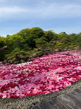 日本庭園　由志園に投稿された画像（2023/5/4）