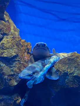 仙台うみの杜水族館に投稿された画像（2023/5/4）