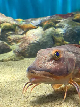 仙台うみの杜水族館に投稿された画像（2023/5/4）