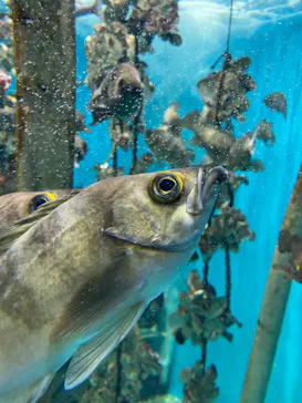 仙台うみの杜水族館に投稿された画像（2023/5/4）