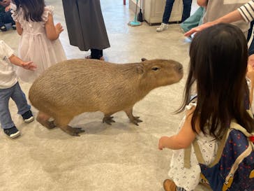 アニタッチみなとみらいに投稿された画像（2023/5/4）