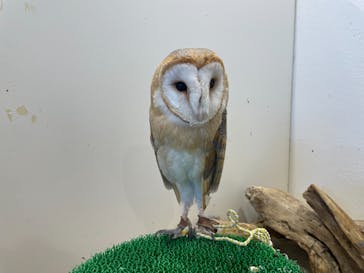 アニタッチみなとみらいに投稿された画像（2023/5/4）