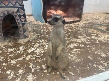 アニタッチみなとみらいに投稿された画像（2023/5/4）