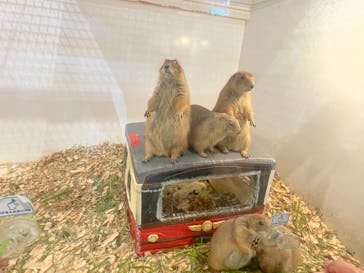 アニタッチみなとみらいに投稿された画像（2023/5/4）