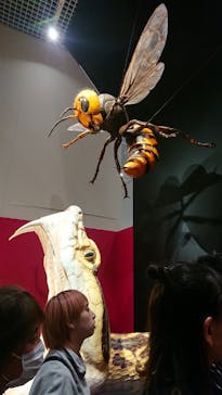 特別展「毒」に投稿された画像（2023/5/4）