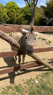 しろとり動物園に投稿された画像（2023/5/4）