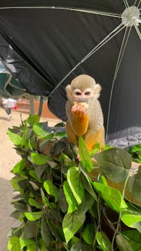 しろとり動物園に投稿された画像（2023/5/4）