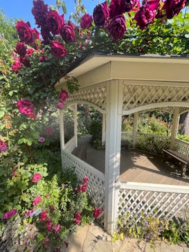 横浜イングリッシュガーデンに投稿された画像（2023/5/4）