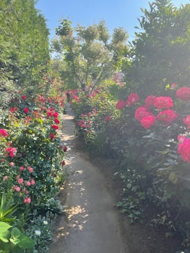 横浜イングリッシュガーデンに投稿された画像（2023/5/4）