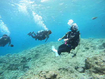 武藤潜水に投稿された画像（2023/5/4）