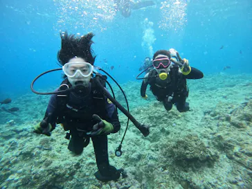 武藤潜水に投稿された画像（2023/5/4）