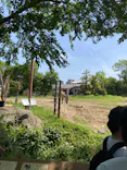 天王寺動物園に投稿された画像（2023/5/4）
