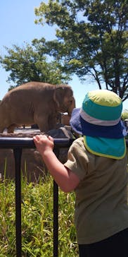 日立市かみね動物園に投稿された画像（2023/5/4）