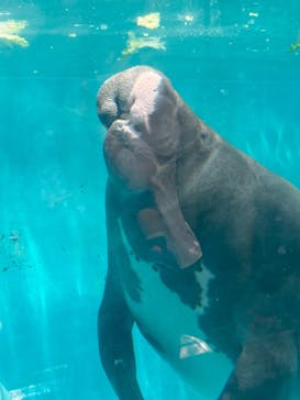 熱川バナナワニ園に投稿された画像（2023/5/4）