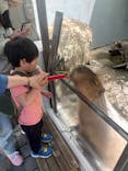 世界淡水魚園水族館　アクア・トトぎふに投稿された画像（2023/5/4）