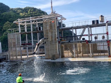 城崎マリンワールドに投稿された画像（2023/5/4）