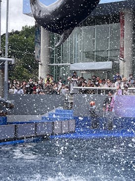 大分マリーンパレス水族館 「うみたまご」に投稿された画像（2023/5/4）