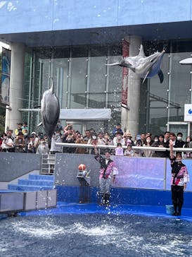 大分マリーンパレス水族館 「うみたまご」に投稿された画像（2023/5/4）