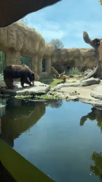 神戸どうぶつ王国に投稿された画像（2023/5/4）