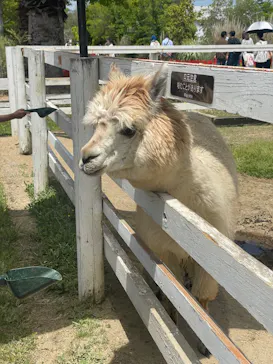 神戸どうぶつ王国に投稿された画像（2023/5/4）