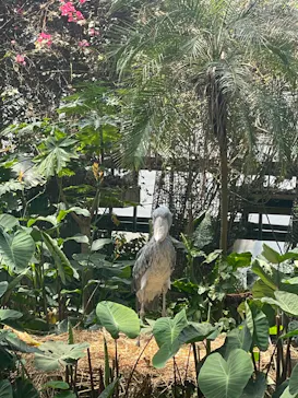 神戸どうぶつ王国に投稿された画像（2023/5/4）