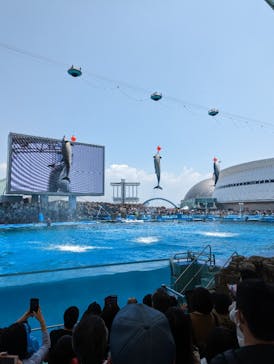 名古屋港水族館に投稿された画像（2023/5/4）