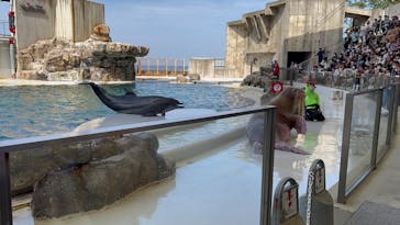 城崎マリンワールドに投稿された画像（2023/5/4）