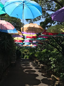 ニューヨークランプミュージアム＆フラワーガーデンに投稿された画像（2023/5/4）