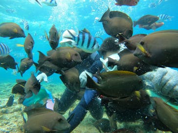 沖縄マリンサービス碧に投稿された画像（2023/5/4）