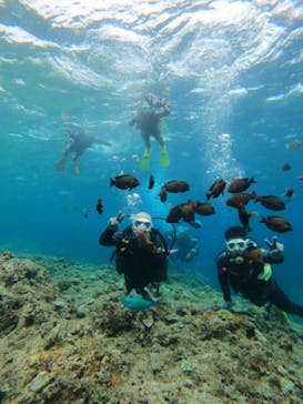 沖縄マリンサービス碧に投稿された画像（2023/5/4）