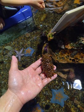 登別マリンパークニクスに投稿された画像（2023/5/4）