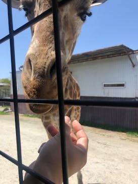 那須サファリパークに投稿された画像（2023/5/4）