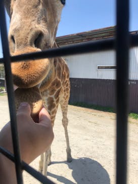 那須サファリパークに投稿された画像（2023/5/4）