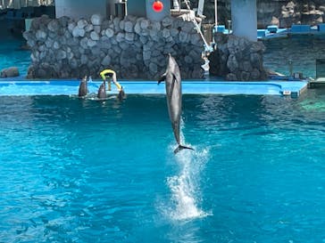 名古屋港水族館に投稿された画像（2023/5/4）