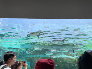 天王寺動物園に投稿された画像（2023/5/4）