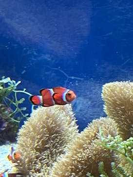 名古屋港水族館に投稿された画像（2023/5/4）