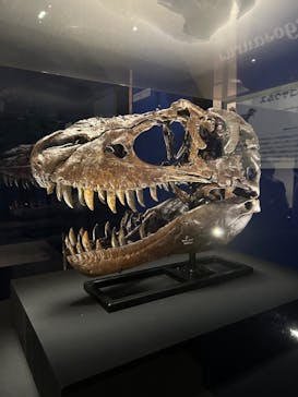 特別展「恐竜博2023」に投稿された画像（2023/5/4）