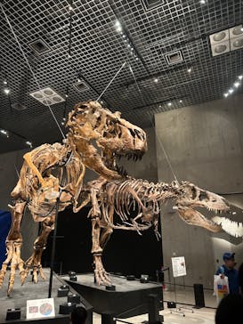特別展「恐竜博2023」に投稿された画像（2023/5/4）