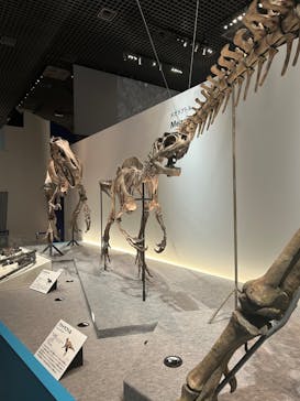 特別展「恐竜博2023」に投稿された画像（2023/5/4）