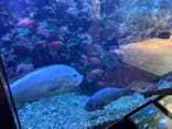 串本海中公園水族館に投稿された画像（2023/5/4）