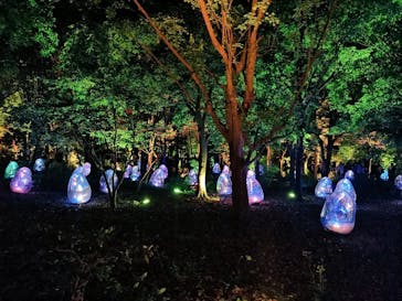 チームラボ ボタニカルガーデン 大阪に投稿された画像（2023/5/4）