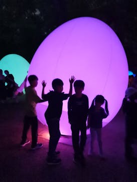 チームラボ ボタニカルガーデン 大阪に投稿された画像（2023/5/4）