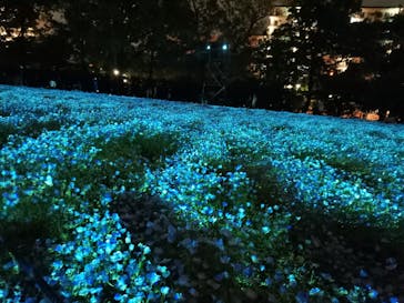 チームラボ ボタニカルガーデン 大阪に投稿された画像（2023/5/4）