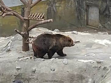 のぼりべつクマ牧場に投稿された画像（2023/5/4）