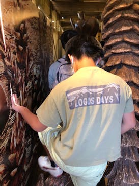 モビリティリゾートもてぎに投稿された画像（2023/5/4）