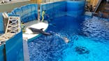新江ノ島水族館に投稿された画像（2023/5/4）