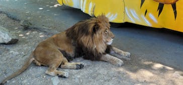 群馬サファリパークに投稿された画像（2023/5/4）