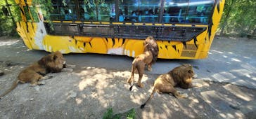 群馬サファリパークに投稿された画像（2023/5/4）